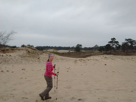 2015 veluwe en andere wandelingen